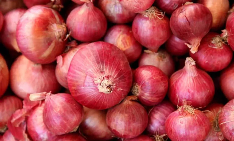 389609-a-shock-to-the-common-man-onion-prices-are-going-to-increase